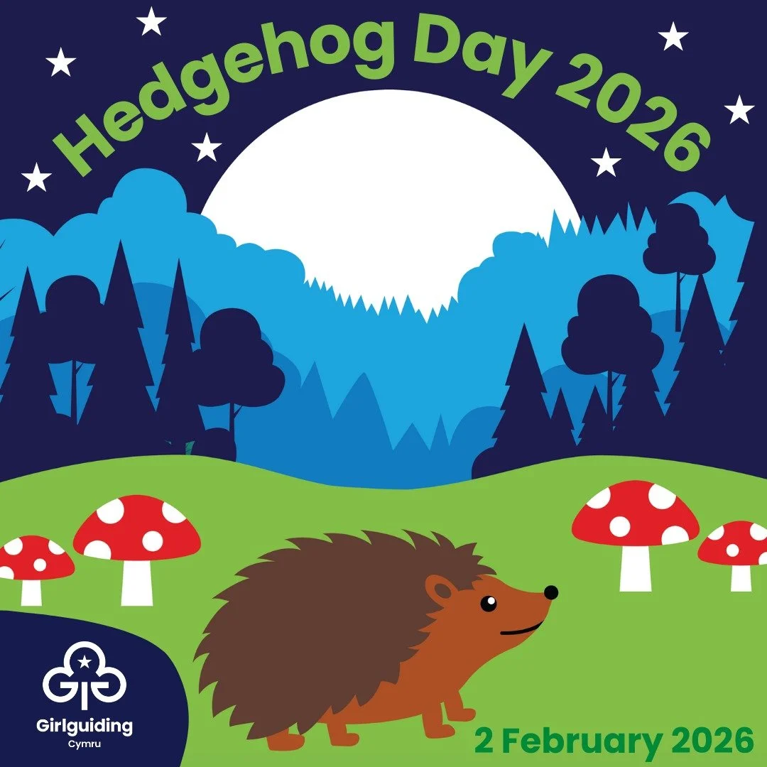 🦔✨ Happy Hedgehog Day! ✨🦔

Did you know hedgehogs are nocturnal wanderers that love to explore gardens and hedgerows? Today, we&rsquo;re celebrating these spiky little adventurers and the magic of nature all around us!

Girlguiding Cymru loves gett