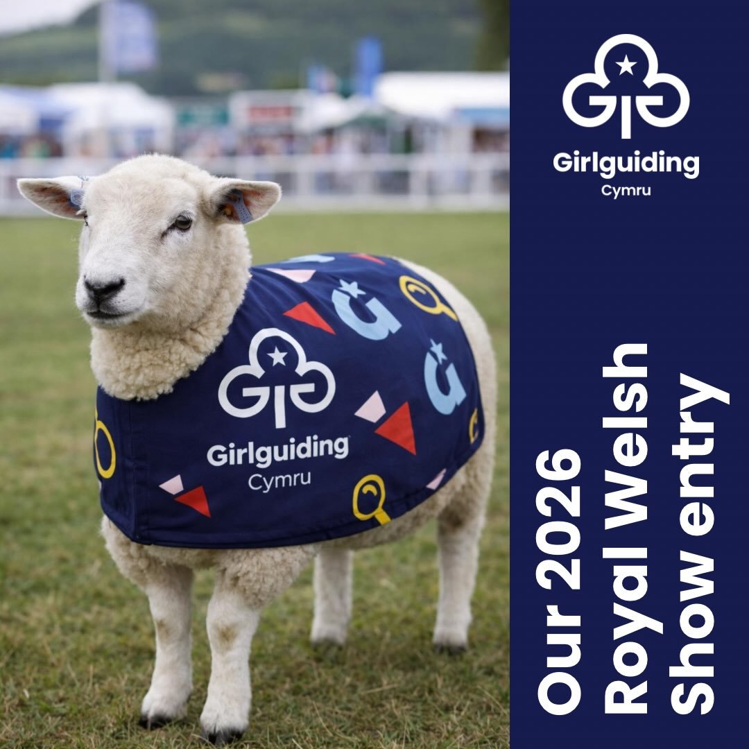🐑✨ Exciting news from Girlguiding Cymru! ✨🐑

We&rsquo;re delighted to share that we are entering our very own sheep into the 2026 Royal Welsh Show! 🎉 

Our connection with the Royal Welsh Show goes back many years, and we&rsquo;re proud to continu
