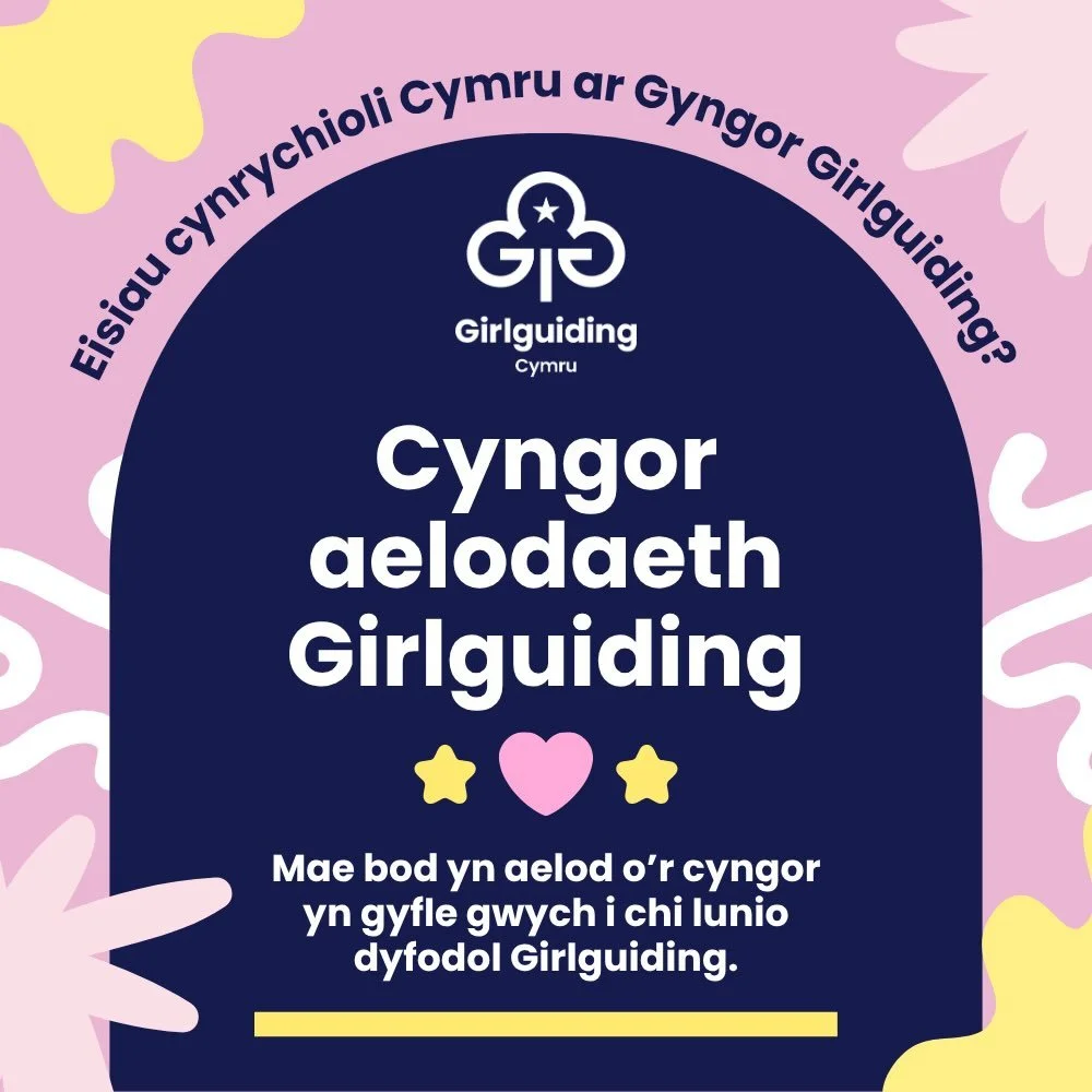 👉Ymunwch &acirc; Chyngor Girlguiding

Mae bod yn aelod o&rsquo;r cyngor yn gyfle gwych i chi lunio dyfodol Girlguiding. Mae&rsquo;r cyngor yn rhan hollbwysig o Girlguiding&mdash;dyma lle gall aelodau o bob gwlad a rhanbarth ddod at ei gilydd i drafo