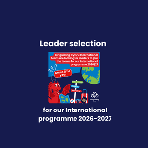 Leader selection for International programme 2026/27