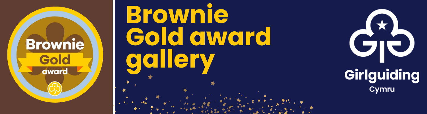 Brownie Gold Award Gallery Brownie Gold Award Gallery
