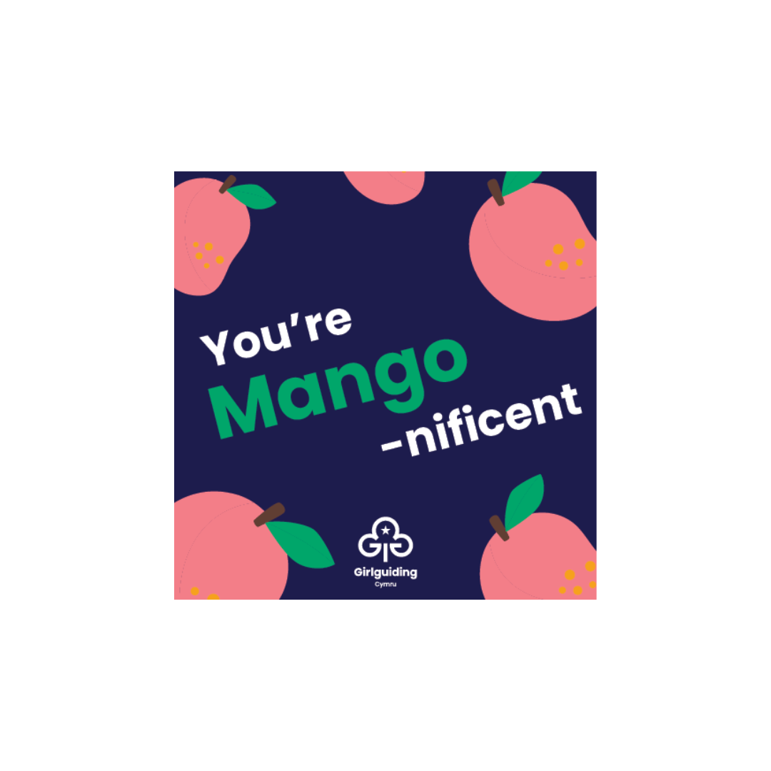 16.png