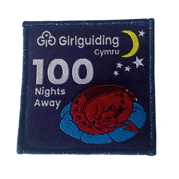 100.png