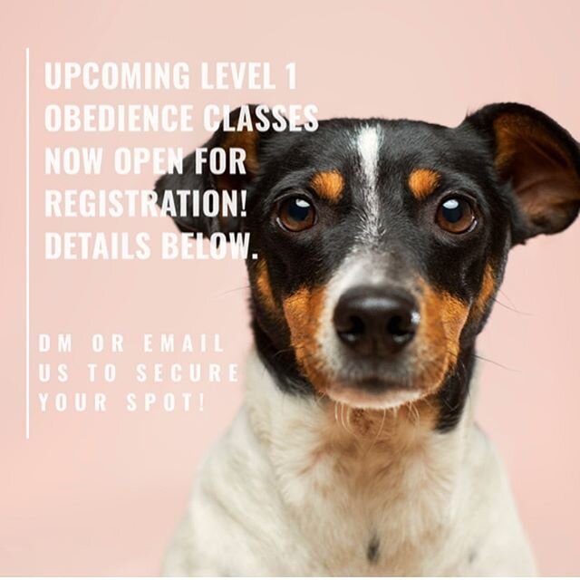 N E W  O B E D I E N C E  C L A S S E S 👏 
Level 1 Obedience Class schedule for June is now available and we are open for registration! 🎉 
________________________________________

Level 1 classes are for ALL dogs with little or no prior training. 