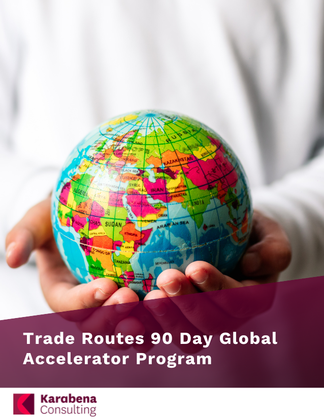 Trade Routes 90 Day Global Accelerator Program