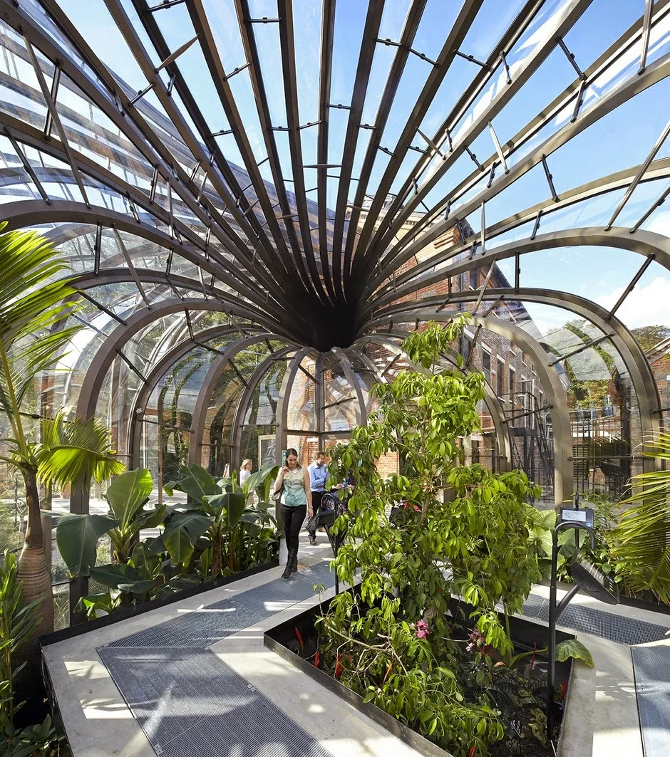 Greenhouse & Food production