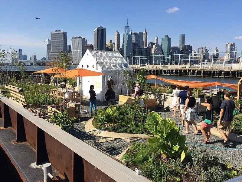 Greenhouse & Food production