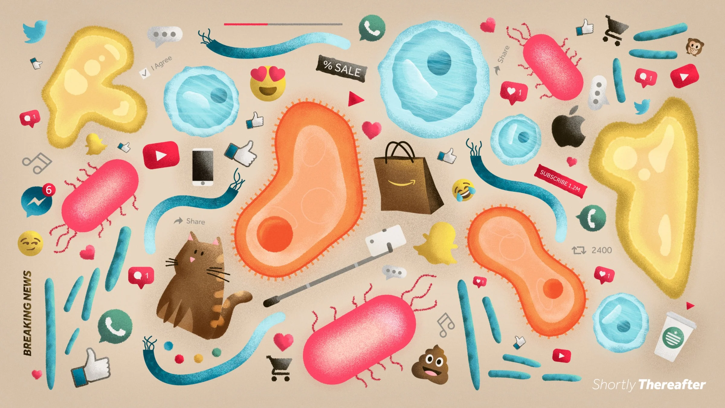 Mix Illustration.jpeg