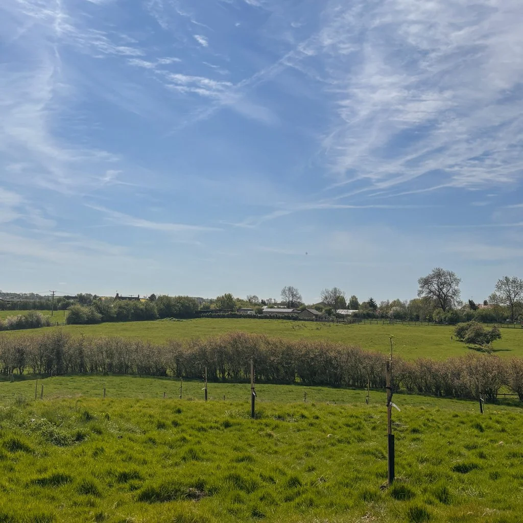  Napton Cidery: Village Raising a Cidery | Local Community