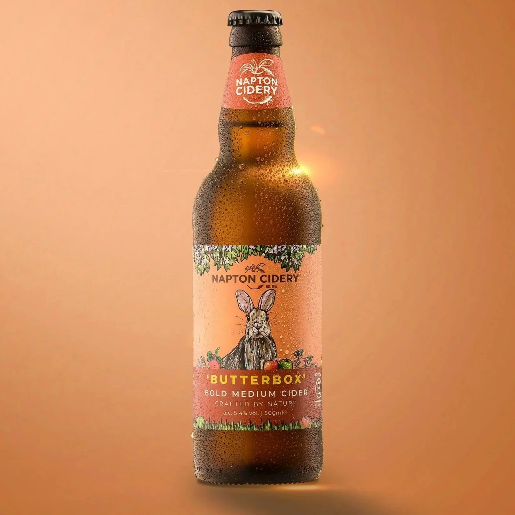 BUTTERBOX | BOLD MEDIUM CIDER | 5.4%