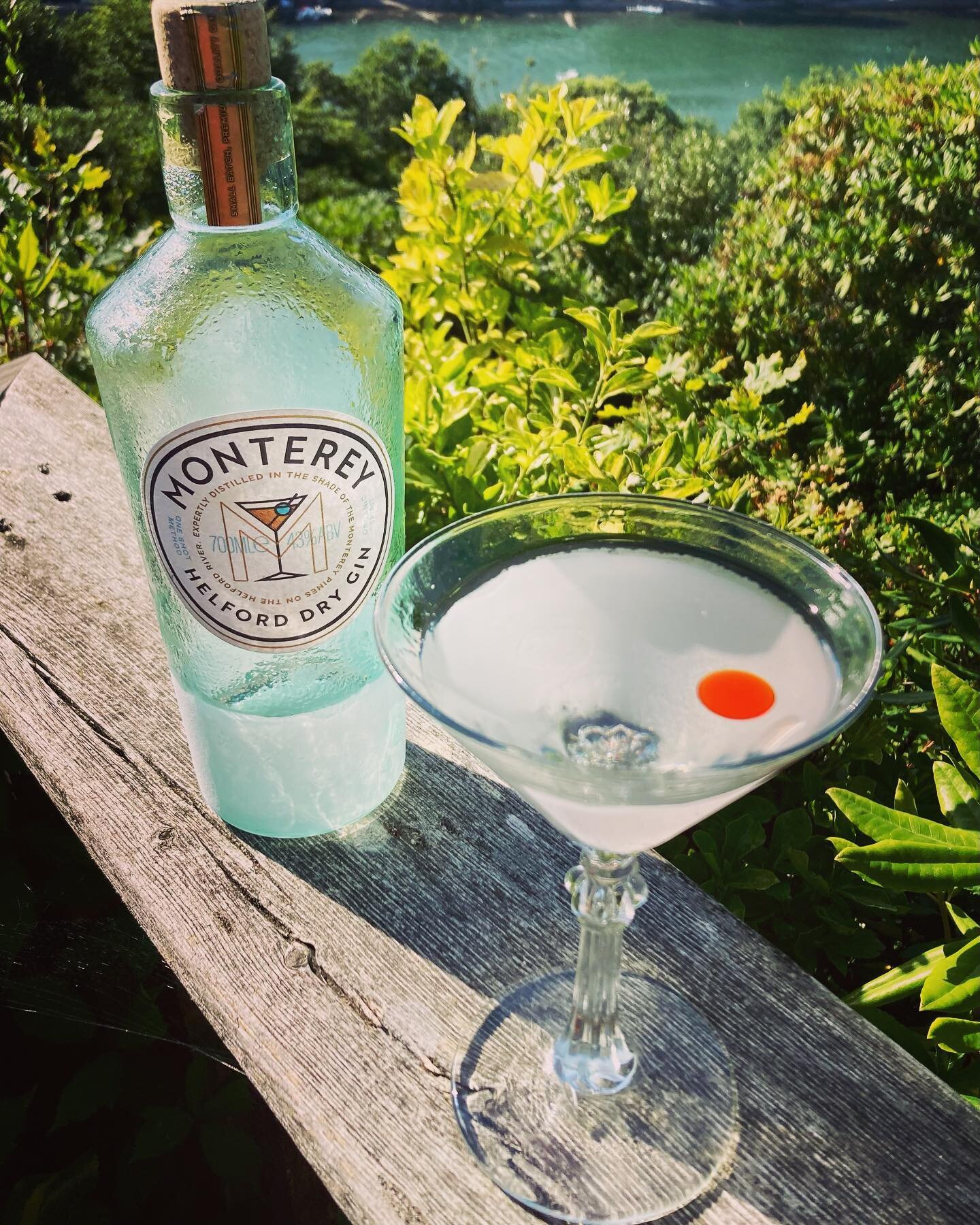 Introducing the SeaBuck Martini or SB : 125ml Ice Cold Monterey Gin from the freezer a bar spoon of @sacredgin English Dry Vermouth a splash of @angosturahouse 🍊 bitters and a few drops of 100% Organic Cold Pressed Sea Buckthorn Oil - don&rsquo;t st