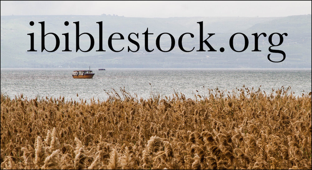 iBibleStock.org