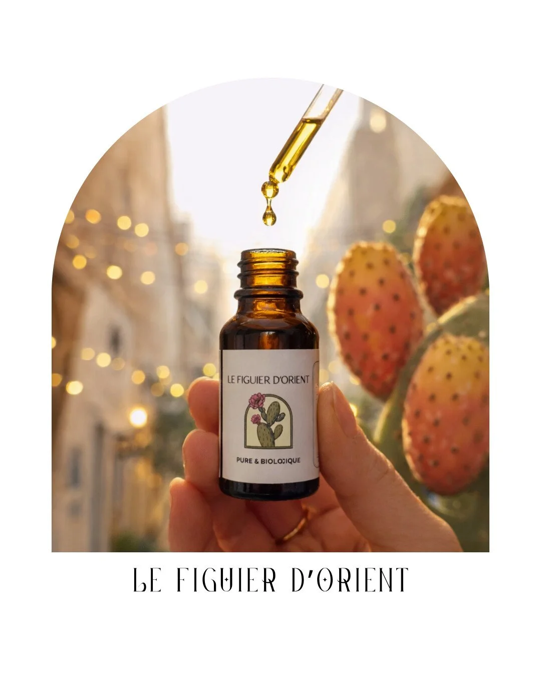☽ BEAUT&Eacute;
Cap sur les rituels de beaut&eacute; orientaux avec @figuier_dorient ✨
Le Figuier d&rsquo;Orient revient au Folk Spirit Market avec sa maison de cosm&eacute;tiques naturels, o&ugrave; chaque soin devient une v&eacute;ritable exp&eacut