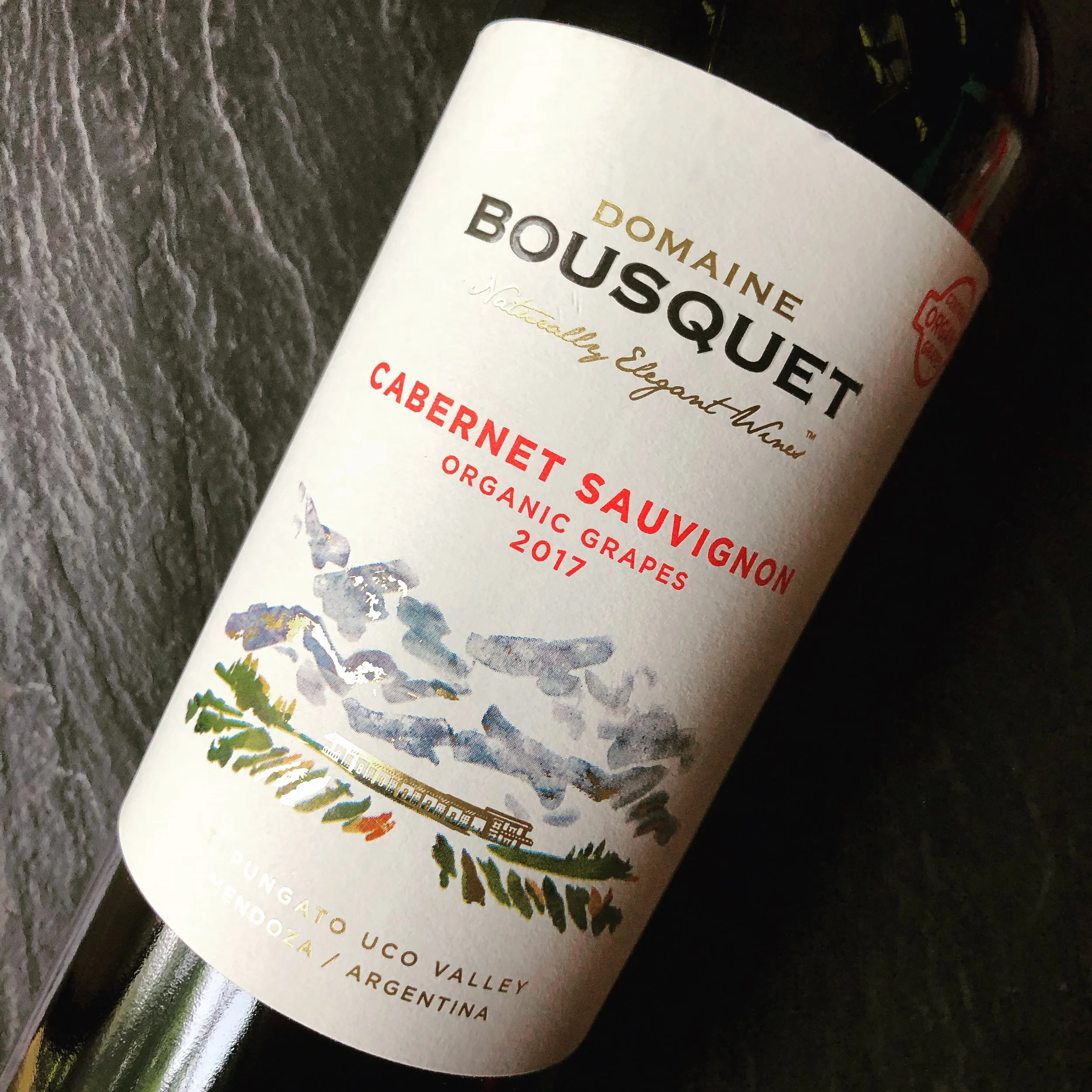 Domaine Bousquet: Organic Wines of Argentina