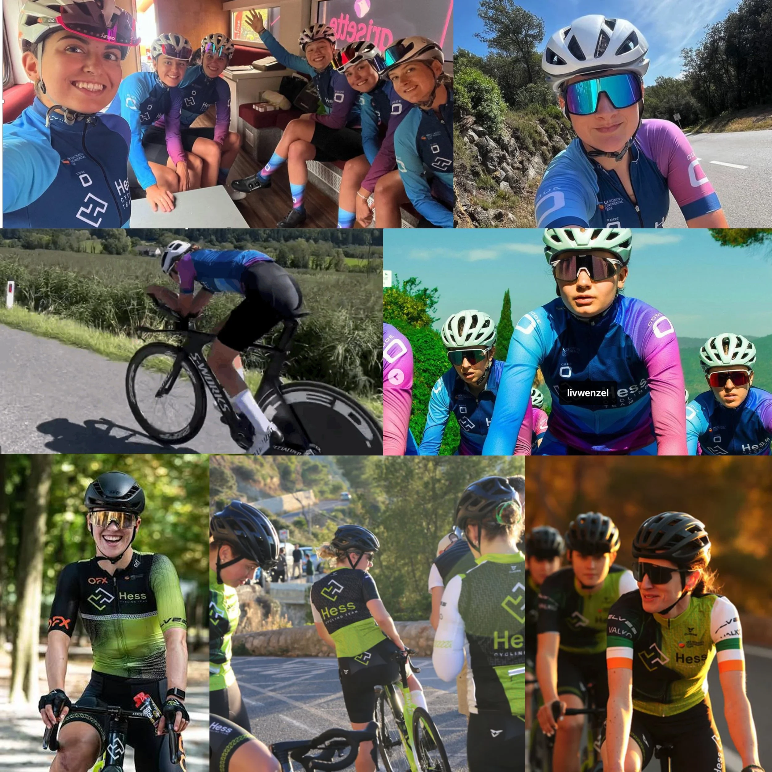 HESS MONTAGE copy.jpg