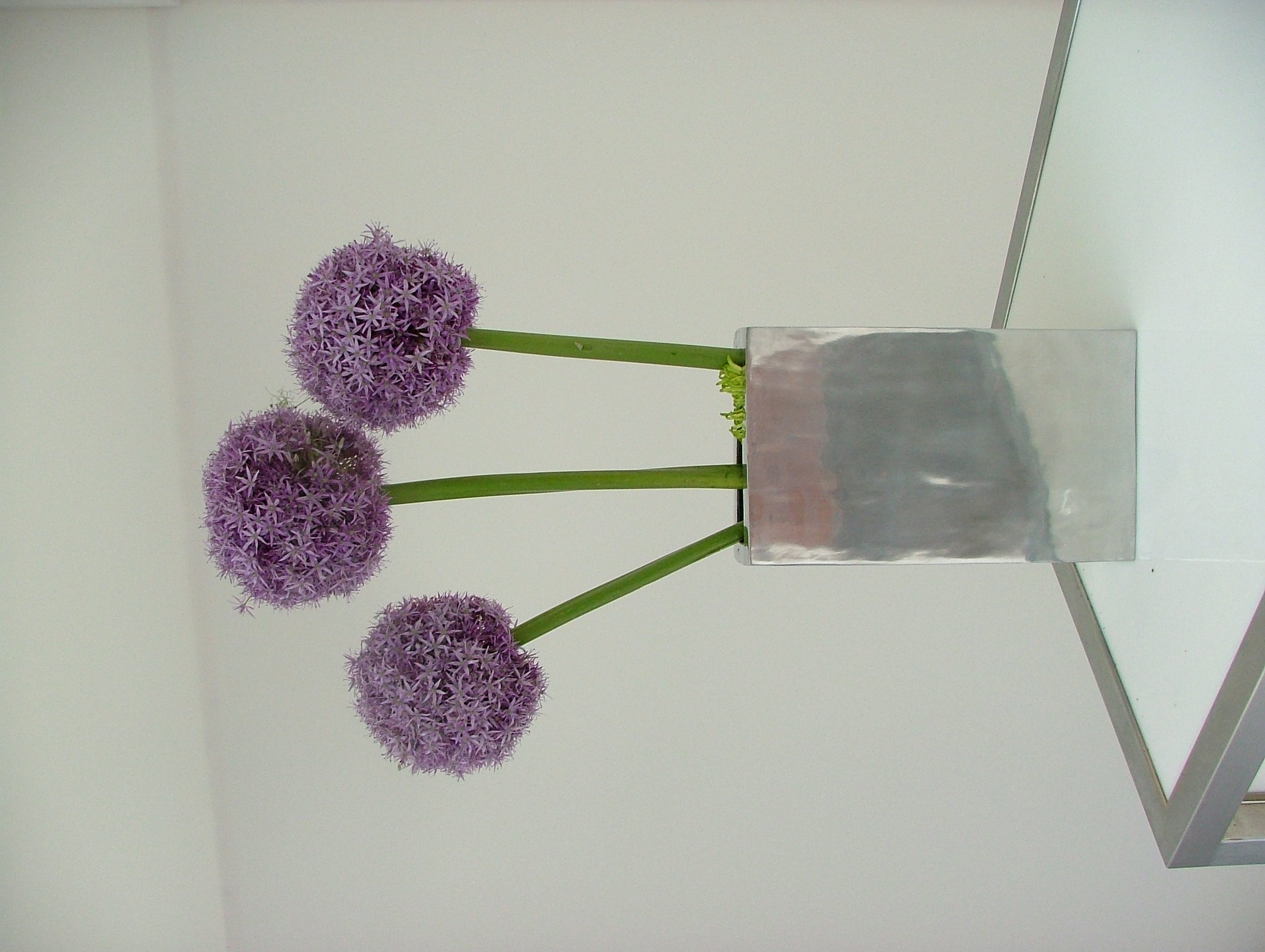 Copy of DSCF3617.JPG