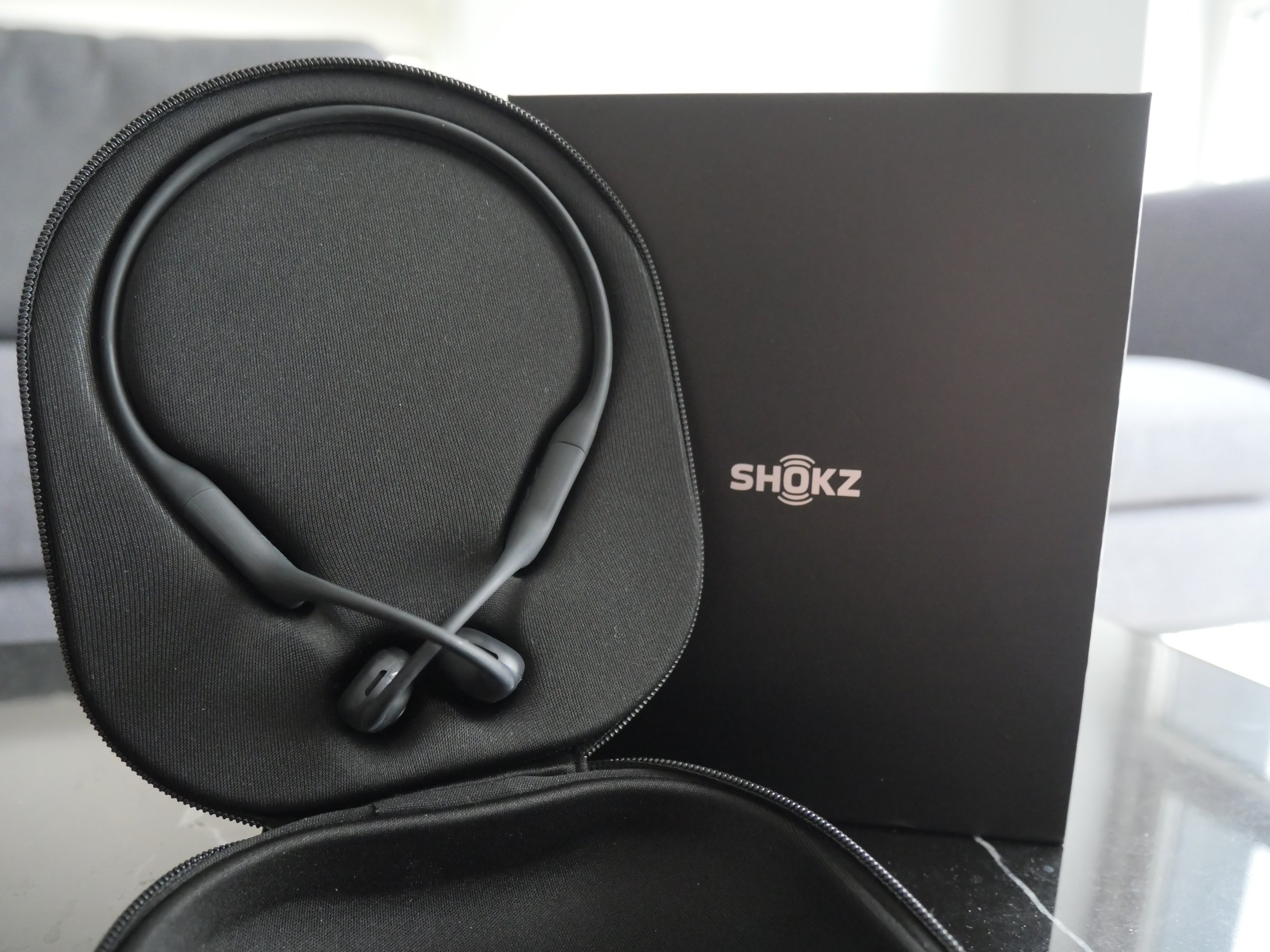 Shokz OpenRun Pro Headphones (Black)