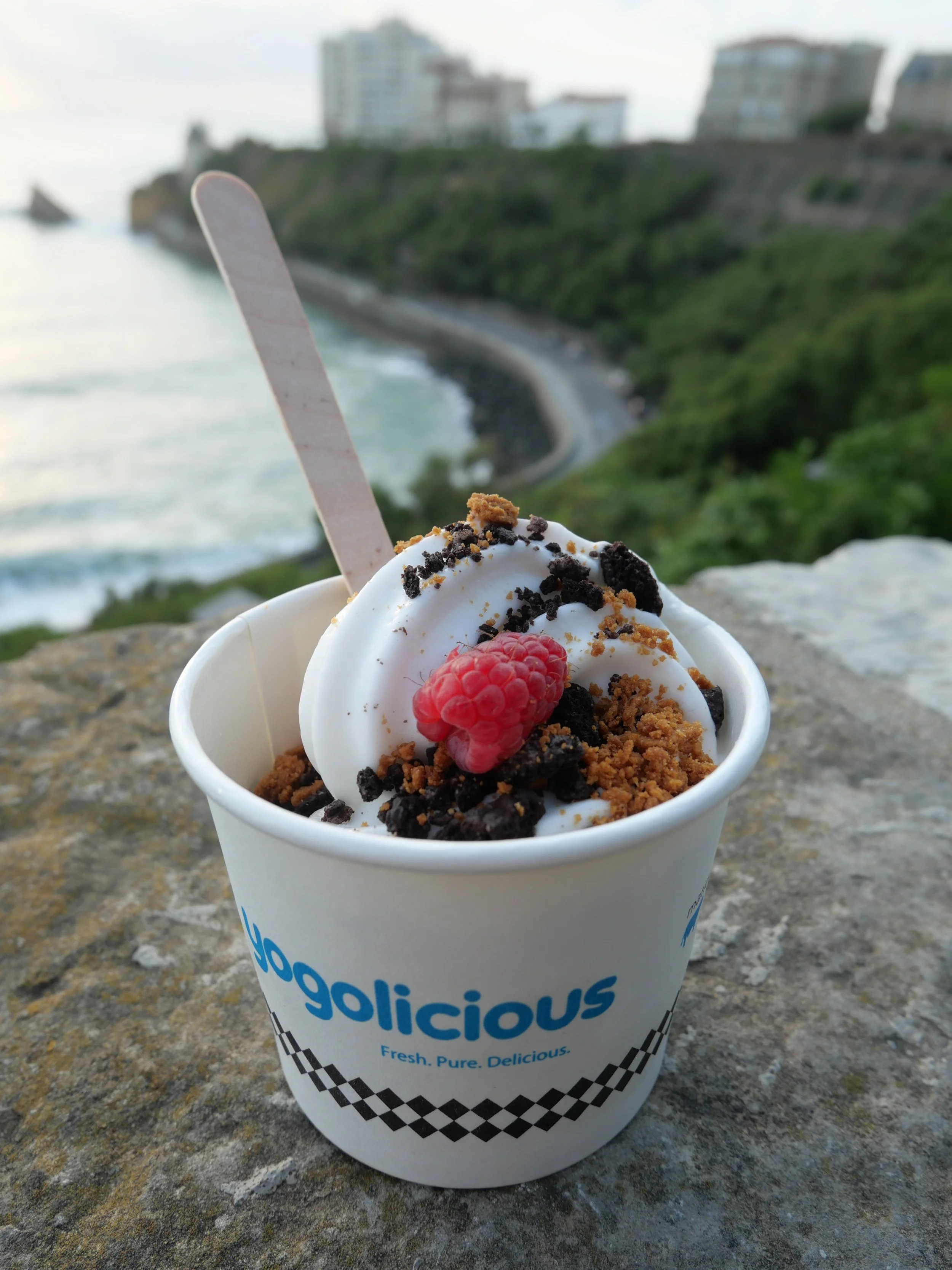 Where to eat vegan in Biarritz? From vegan froyo to vegan brunch