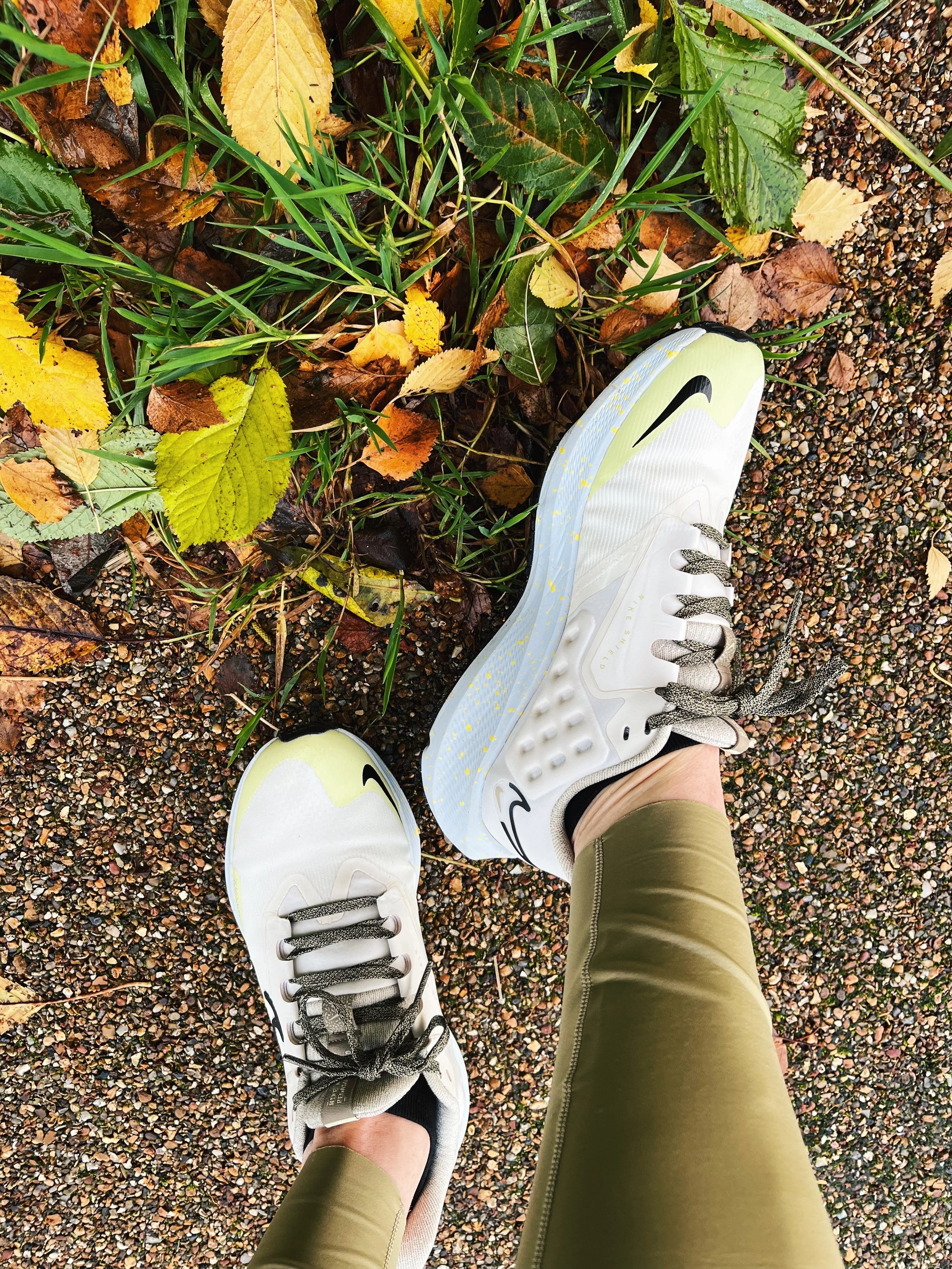 Nike Pegasus Shield review: the Winter running shoes you need?