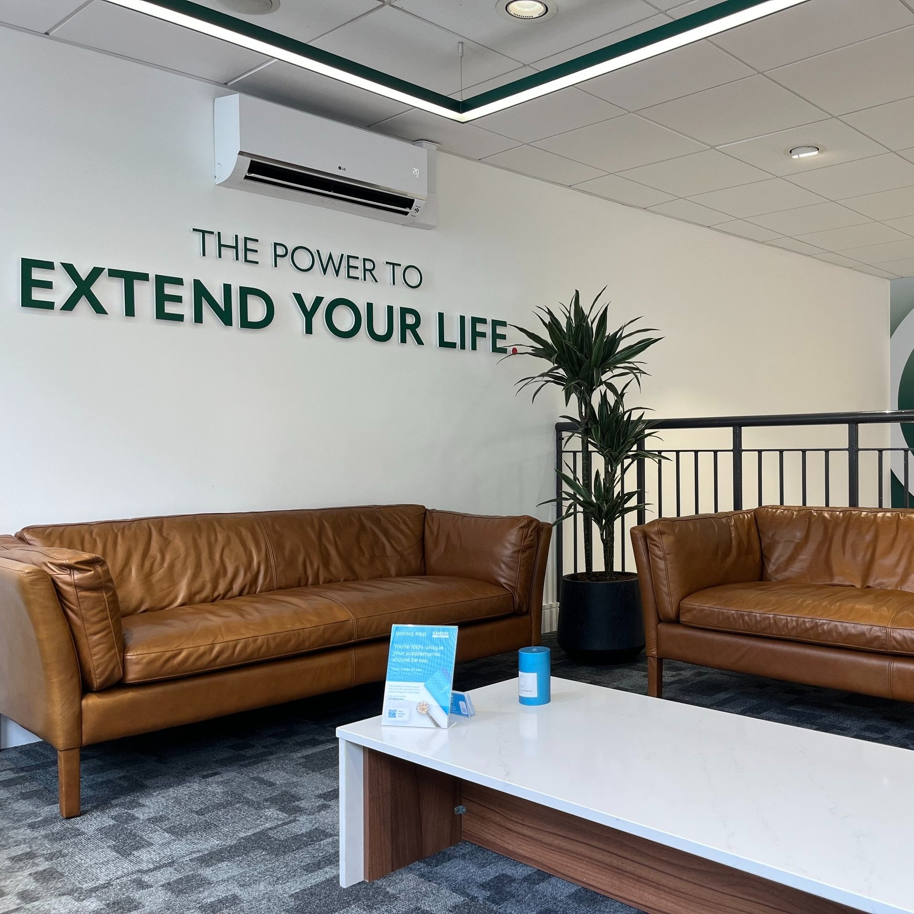 Randox Health Discovery Health Test review