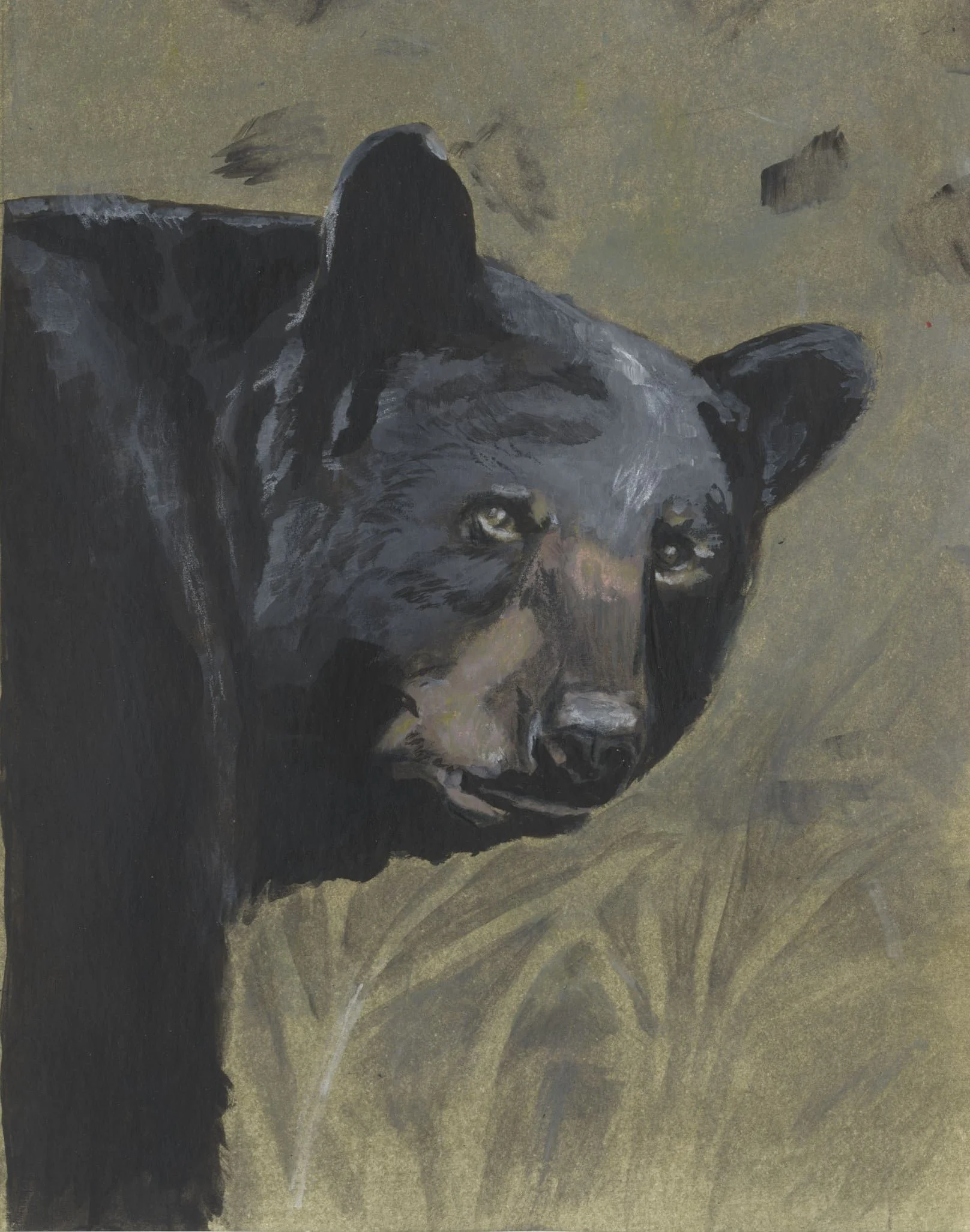 e4bbb9d5-18cf-466f-bde0-e600e43fe655.jfif