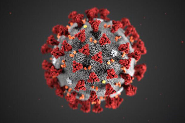 Coronavirus Deep Clean Teesside.jpg