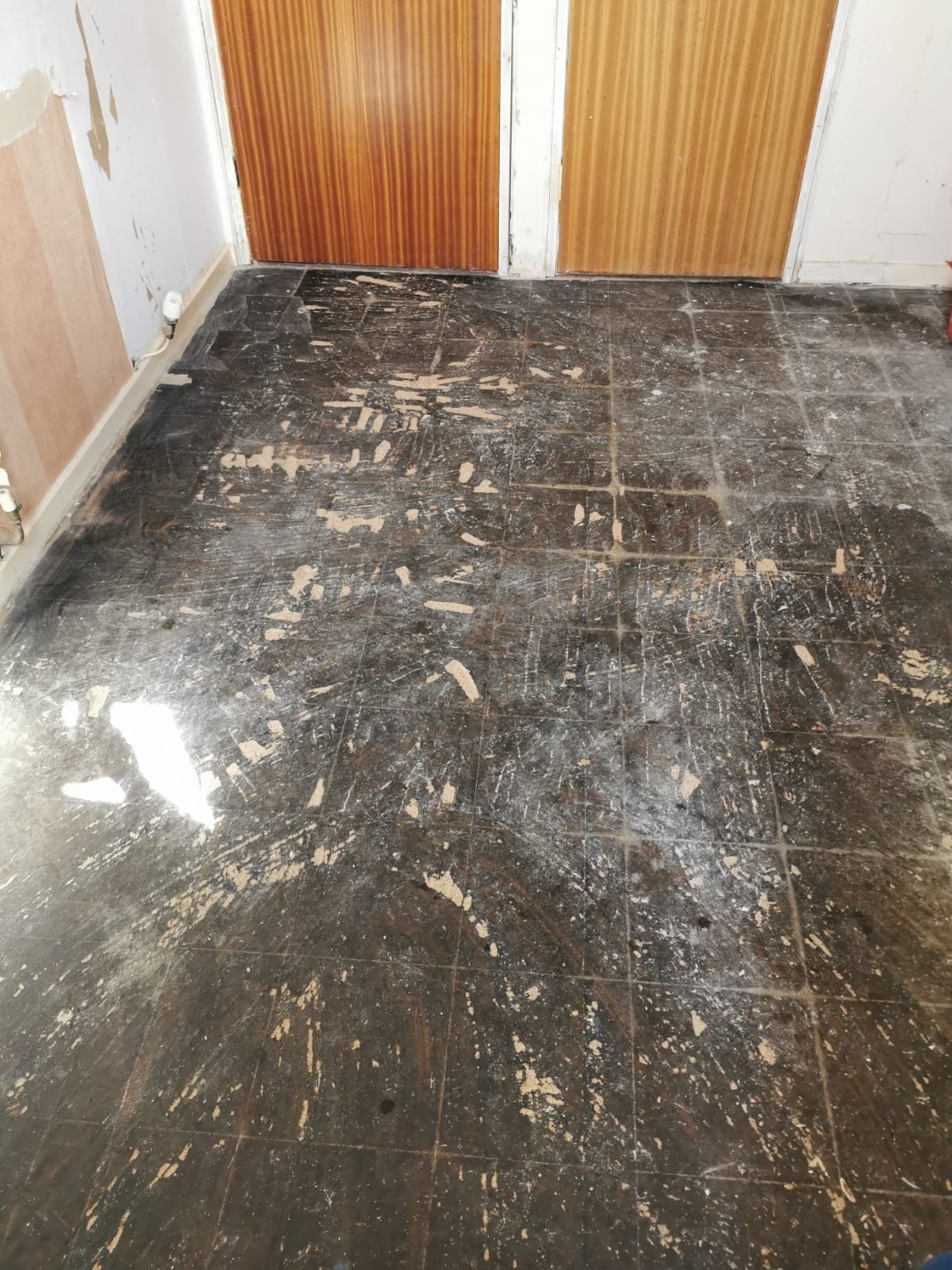 Asbestos Floor Tiles Audit