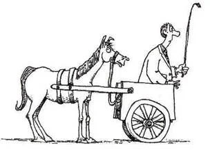 THE CART BEFORE THE HORSE