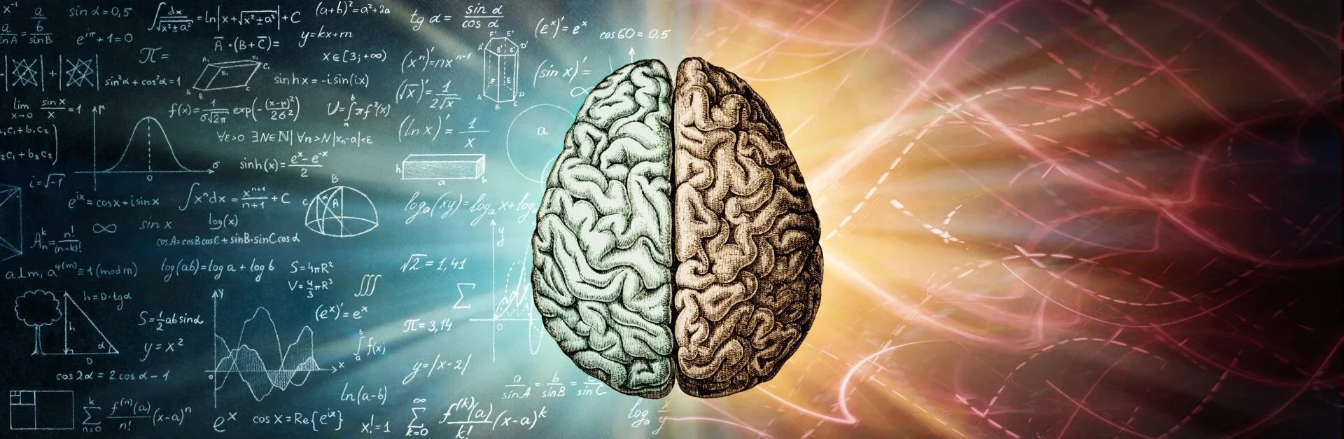 Fluid vs Crystallized Intelligence 