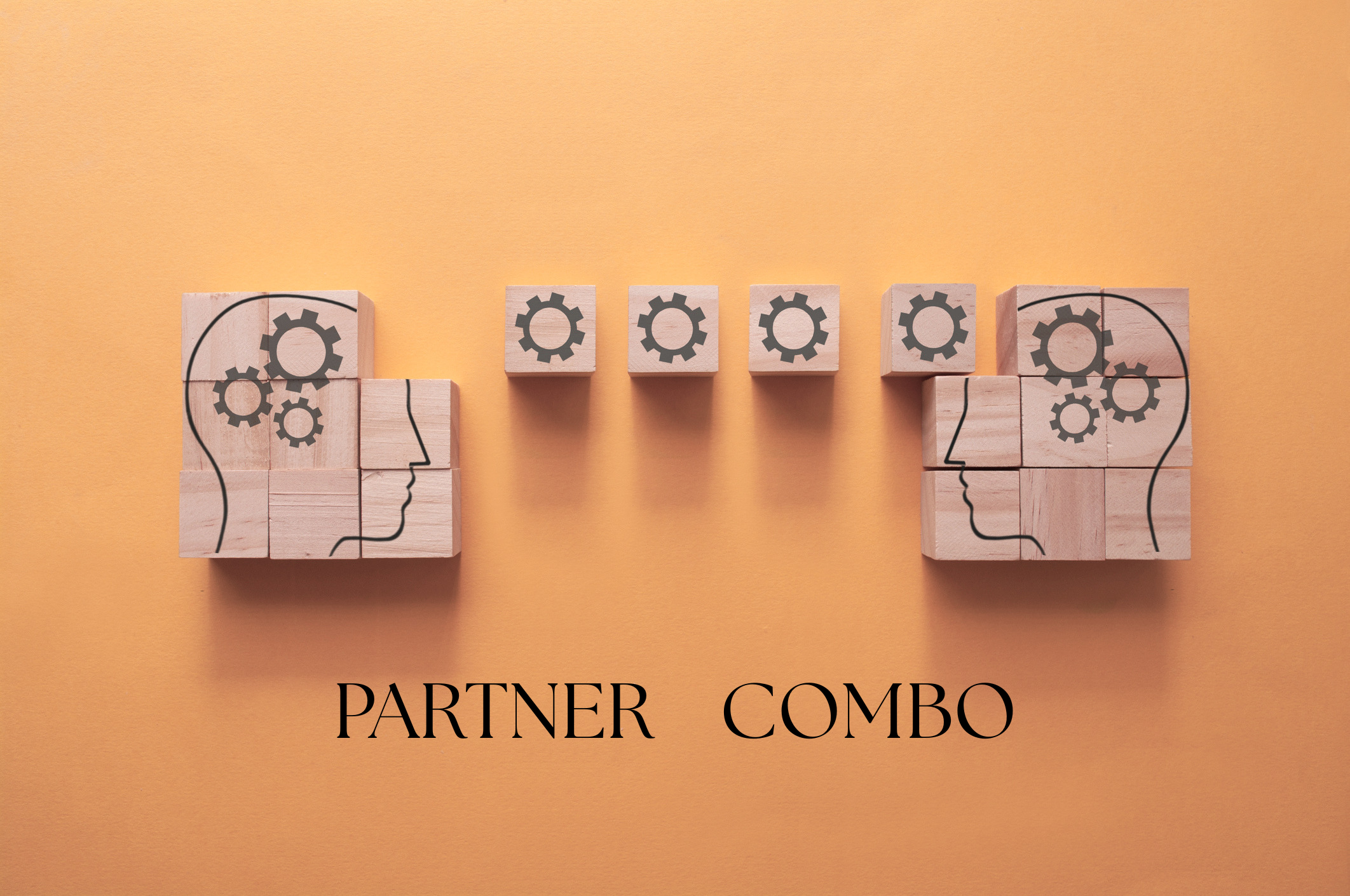 MASTERMIND GRAPHIC-PARTNER COMBO.png