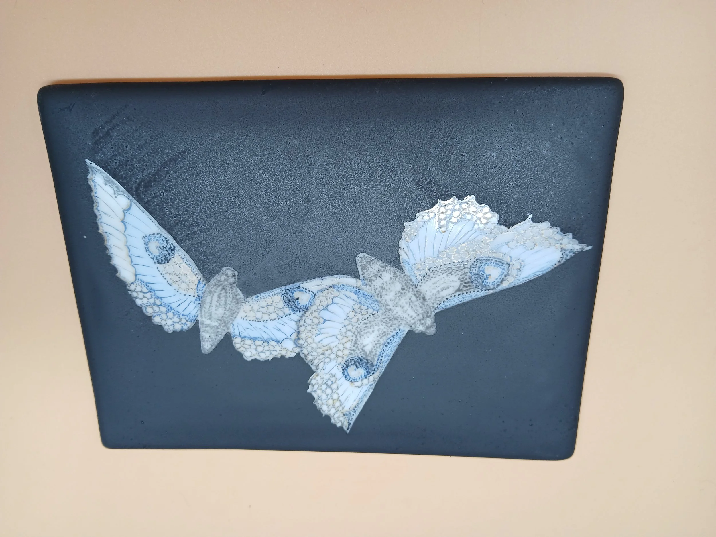 Papillons en pointillisme, fond noir.jpg
