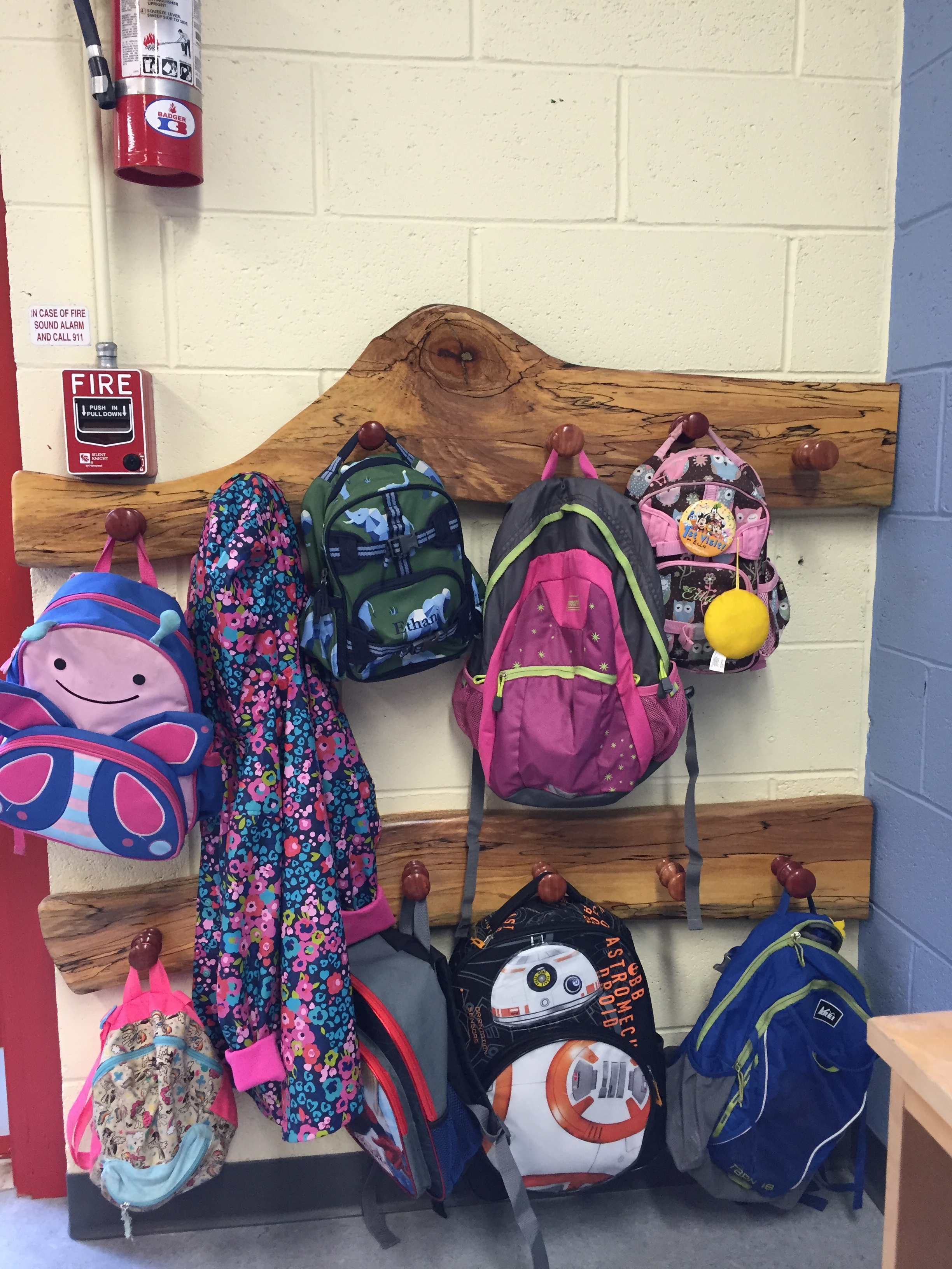 Special Project - Elementary School