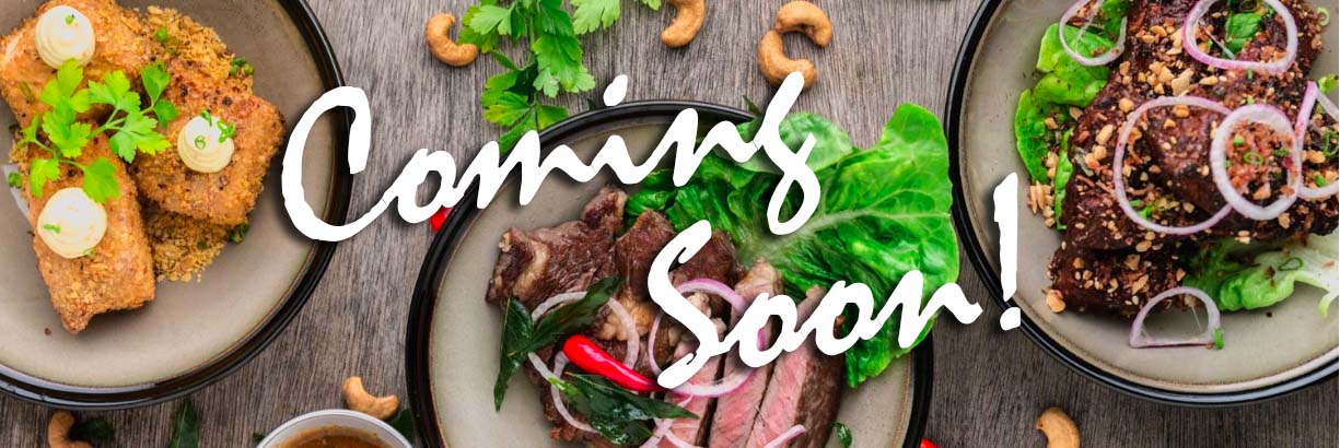 Meal Delivery Header.jpg