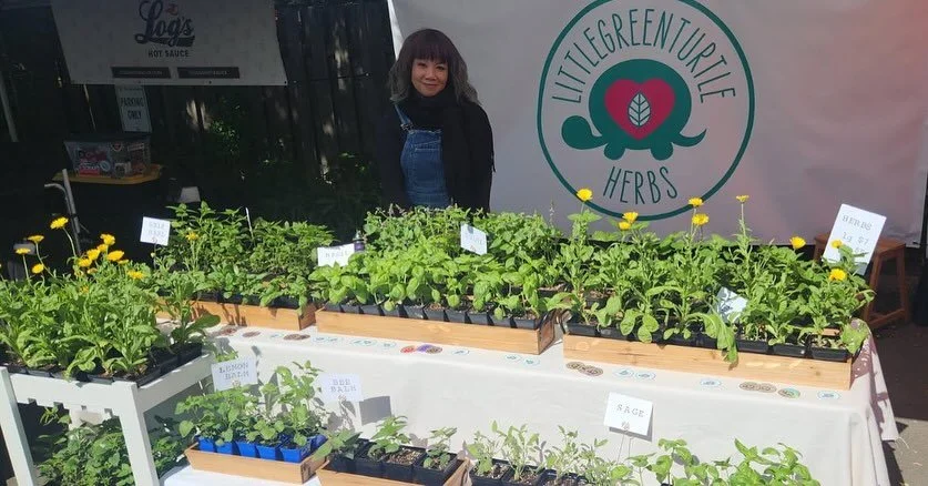 We did it!!! From seed to market🤘

Check us out at the Linden Hills Farmers Market this summer!🌱🌱🌱🌱🌱🌱🌱

#littlegreenturtleHERBS
@lindenhillsfarmmarket