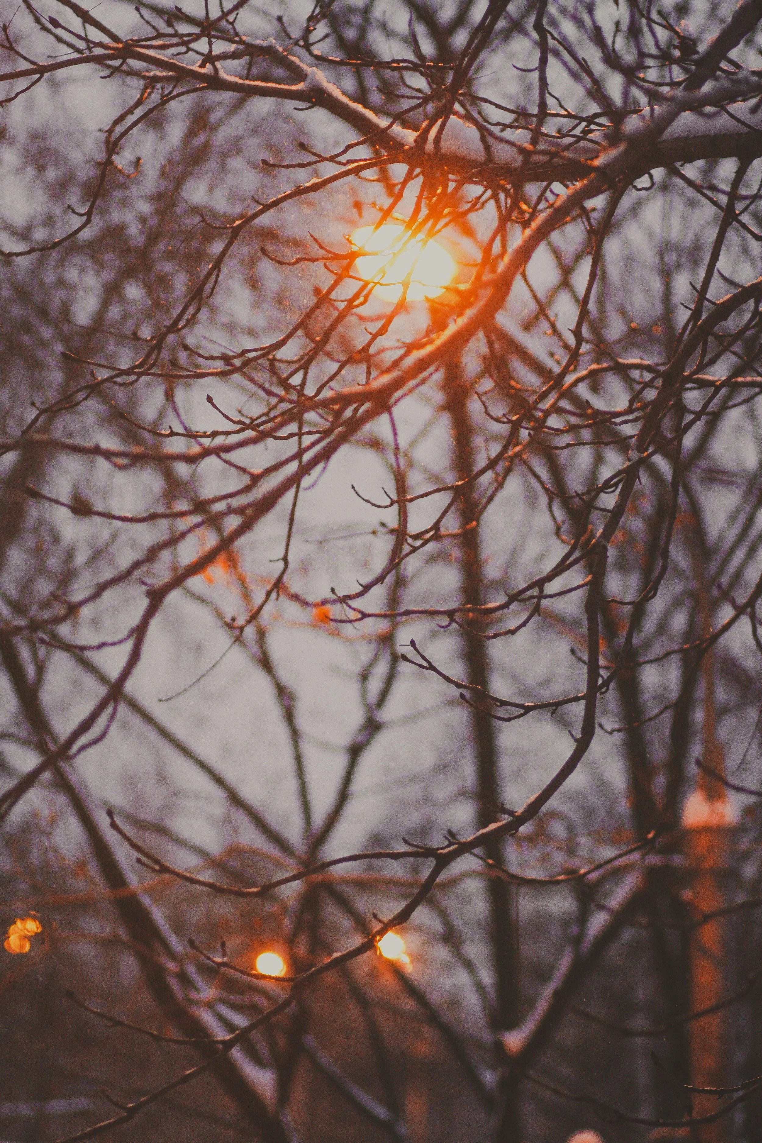 Boost your Winter Wellness: Solstice tips + Qigong event