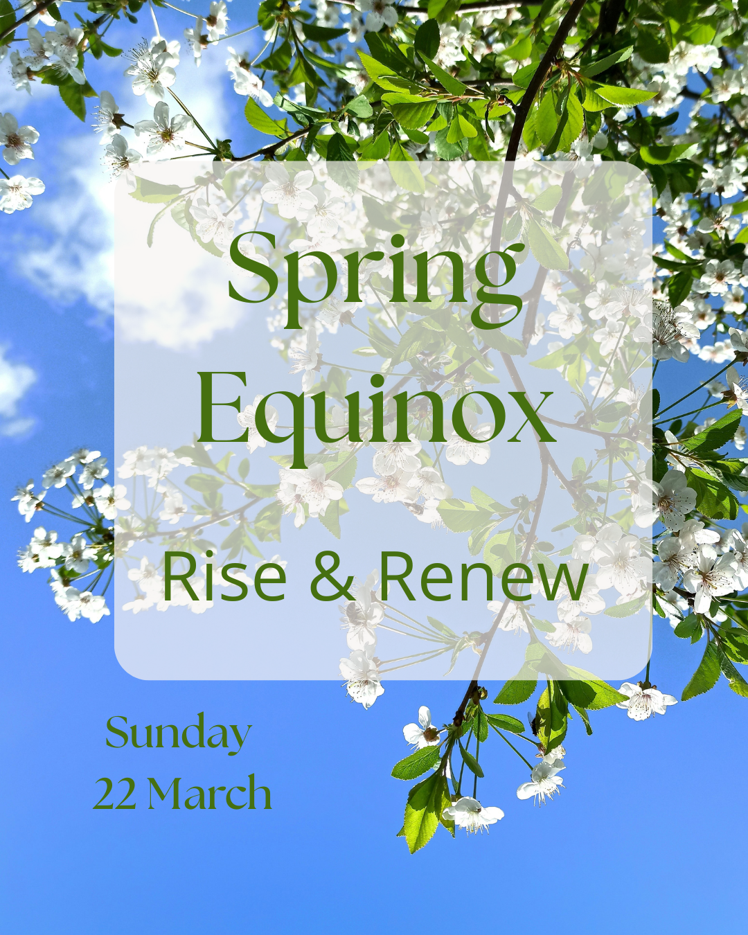Rise and Renew with the Spring Equinox