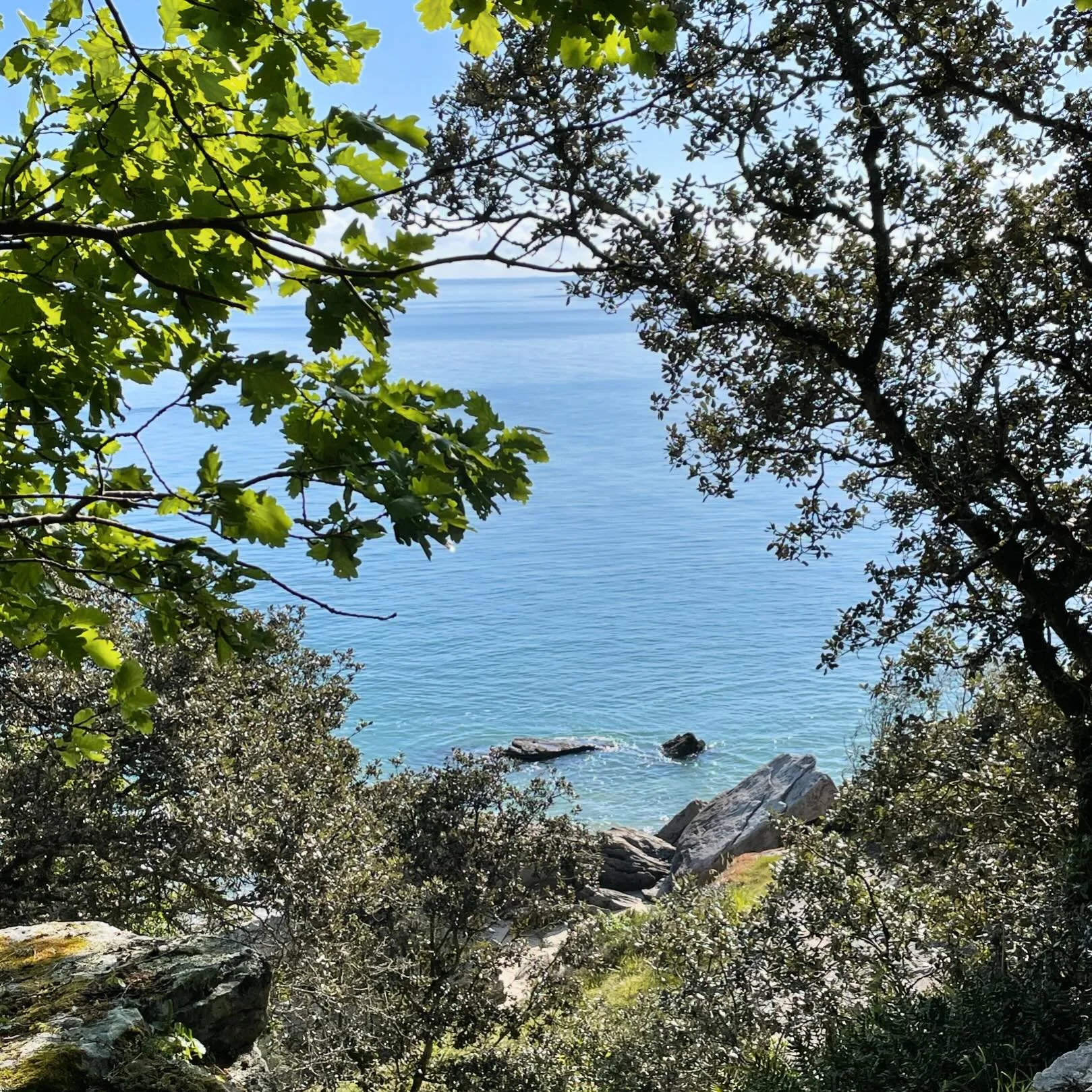 On dirait la M&eacute;diterran&eacute;e 🤩. Et non, c&rsquo;est @iledenoirmoutiertourisme . Lundi matin entre marche et footing, la balade &eacute;tait magnifique. 

#noirmoutier #mybyzance #footing #running #course #courseapieds #paysage #mediterran