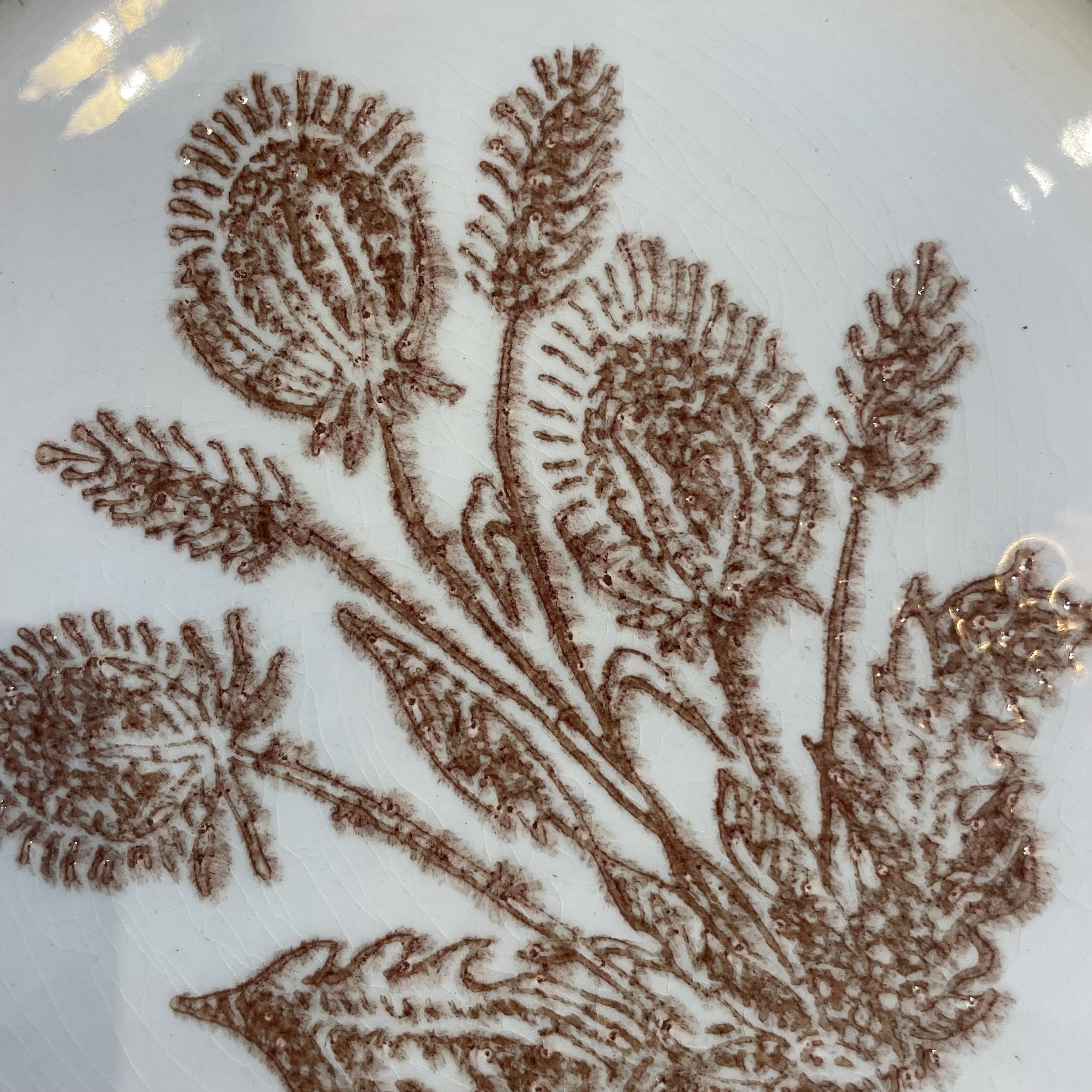 Série de 6 assiettes chardon taupe De My Byzance Broc