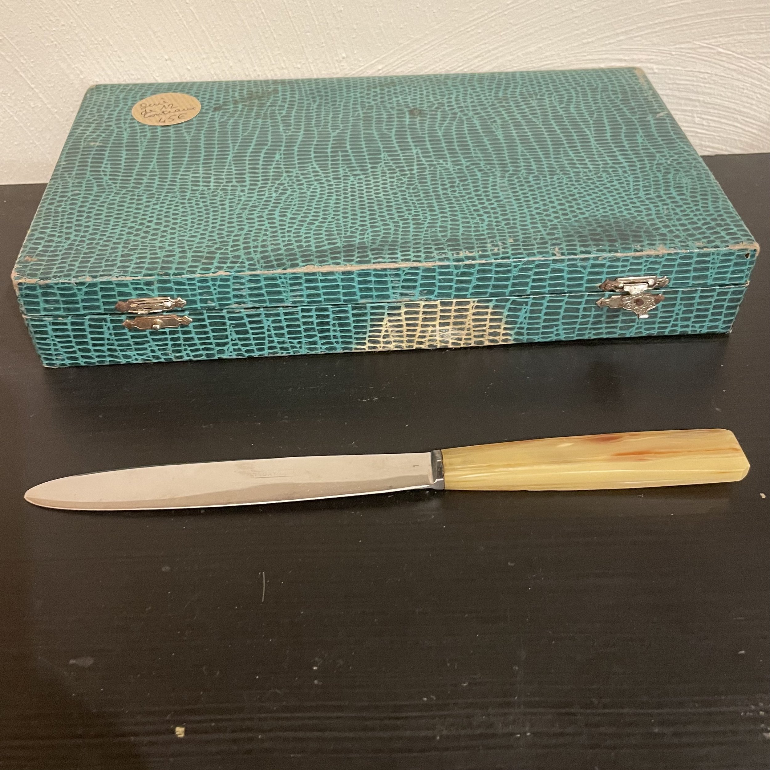 Série de 12 couteaux manche corne avec boite De My Byzance