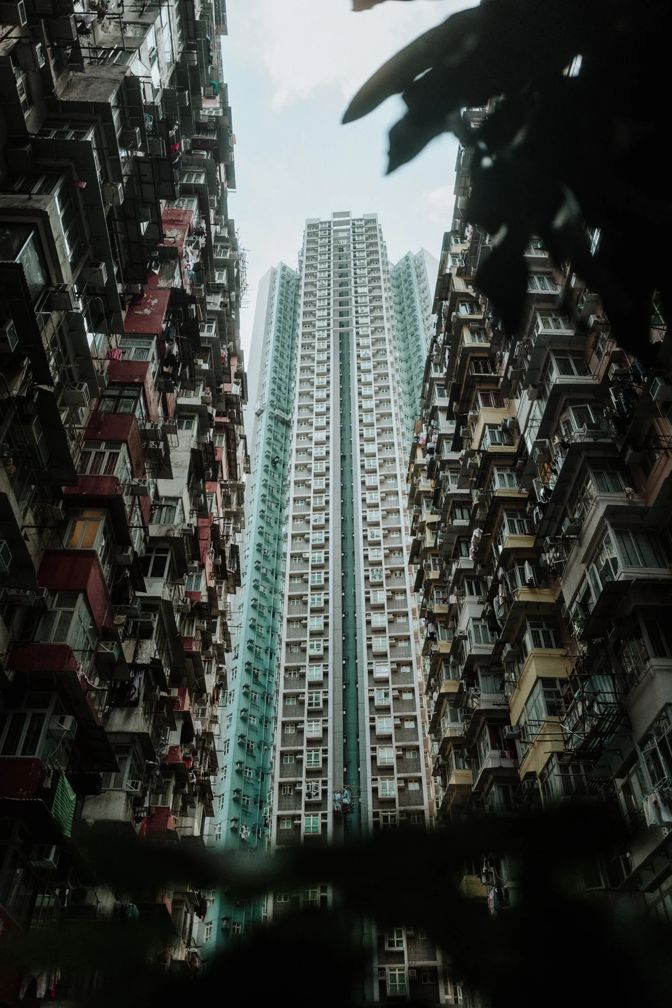 hong-kong-dna-creative-collective-06.jpg