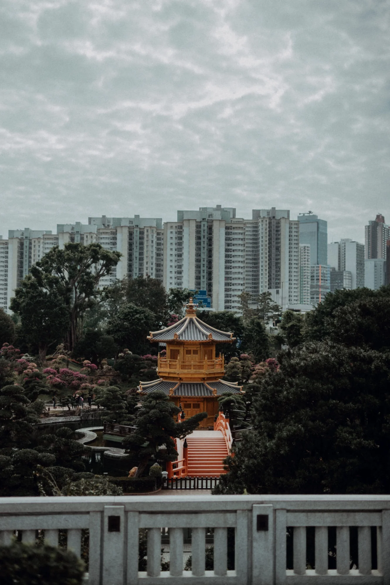 hong-kong-dna-creative-collective-15.jpg