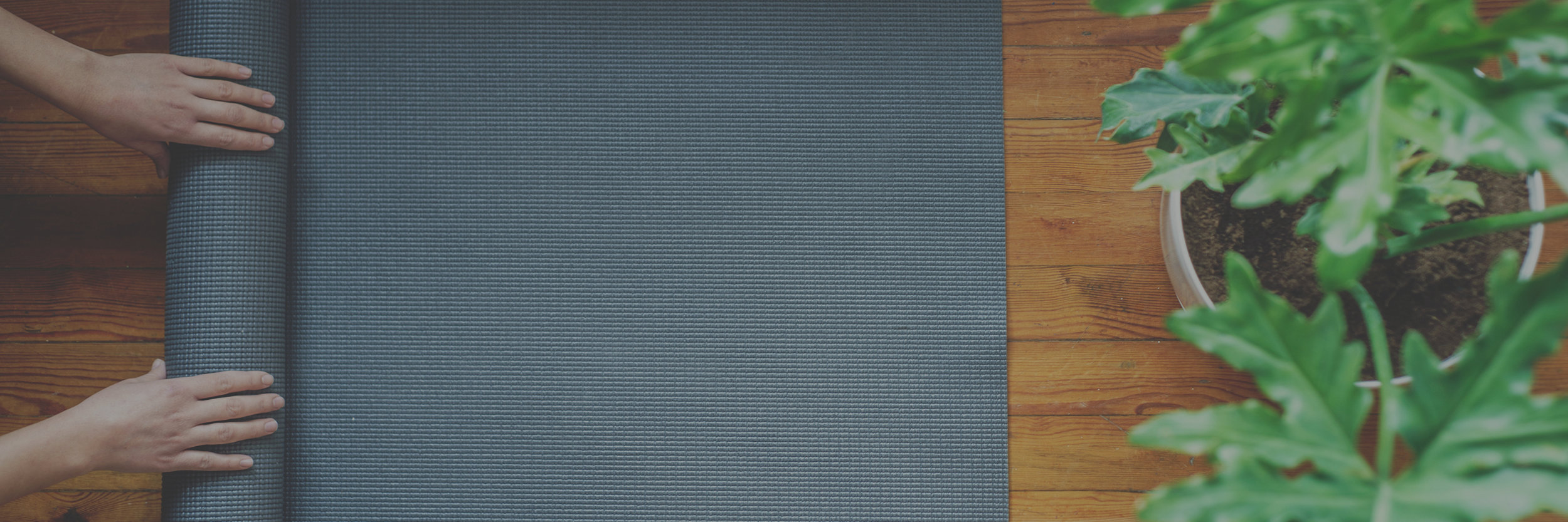 hbcyoga.jpg