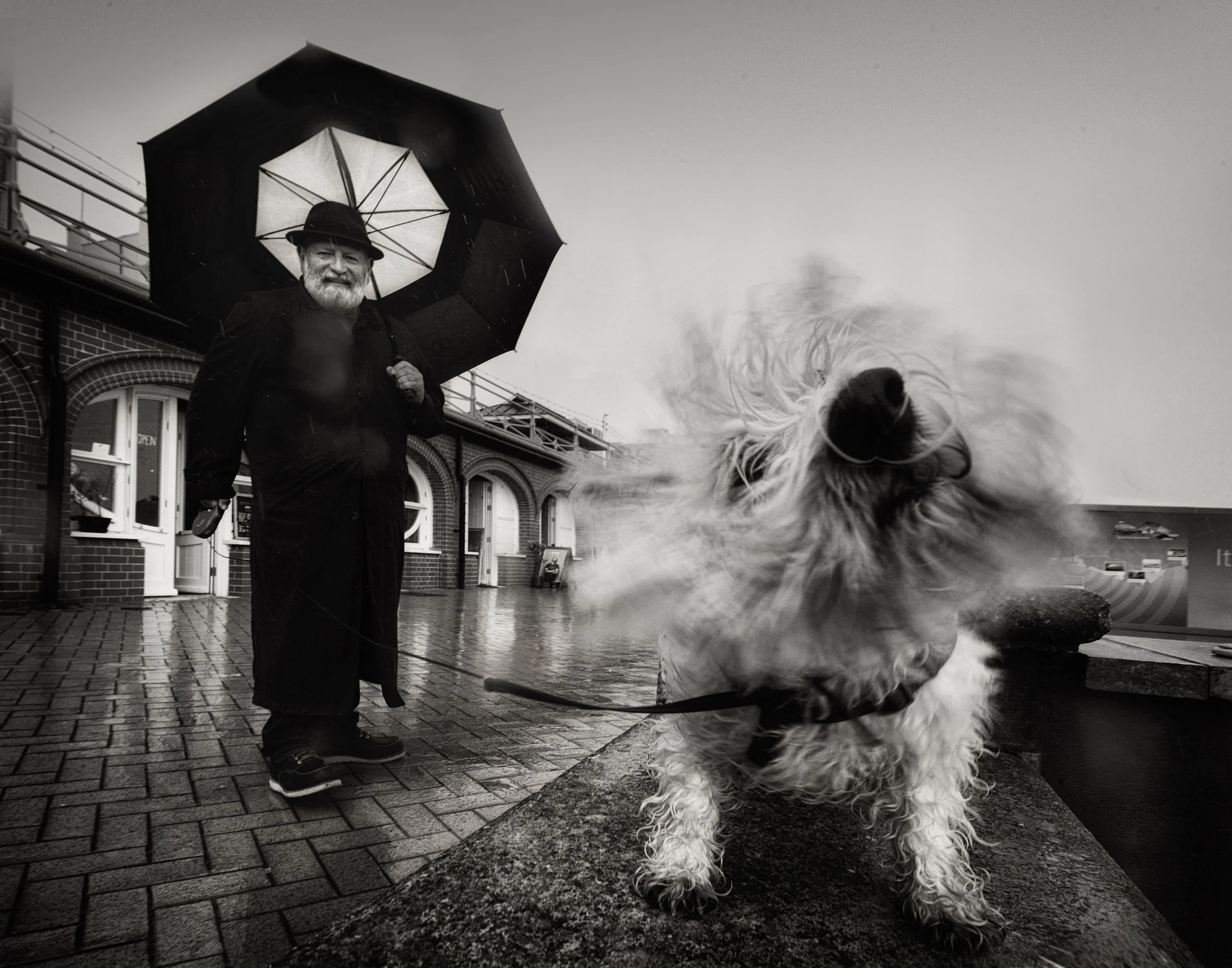 RWA Spinning Dog.jpg
