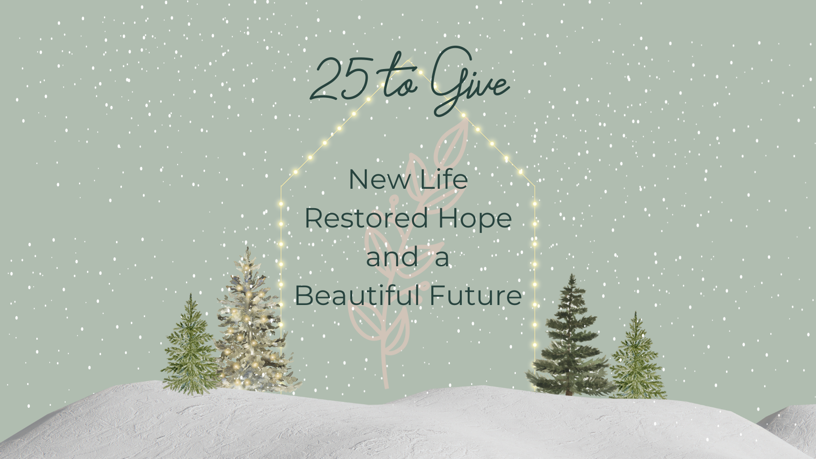 25 to Give Campaign