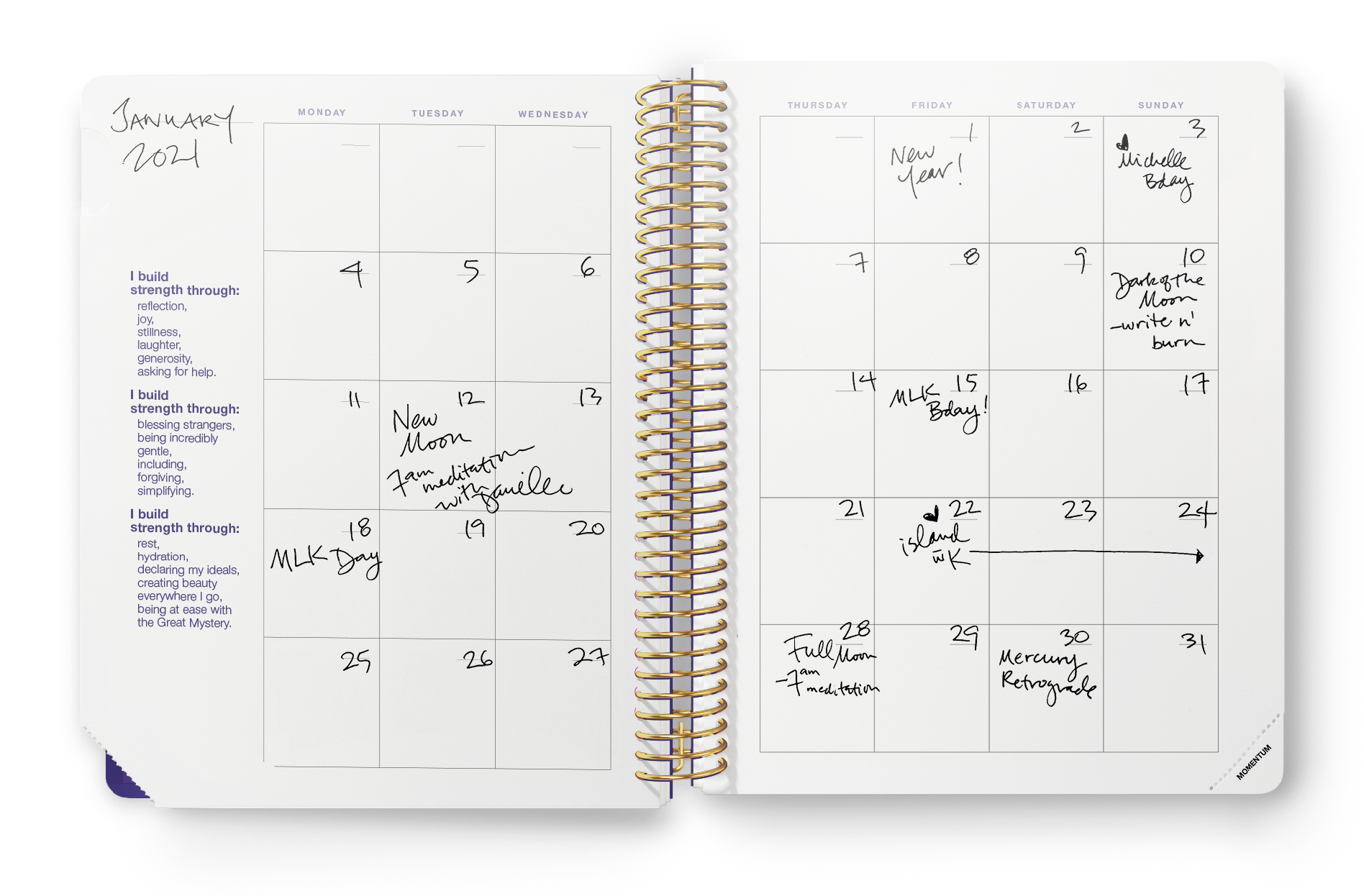 DM.2021.Planner.Sales.Page_Undated.Month-at-a-Glance.png