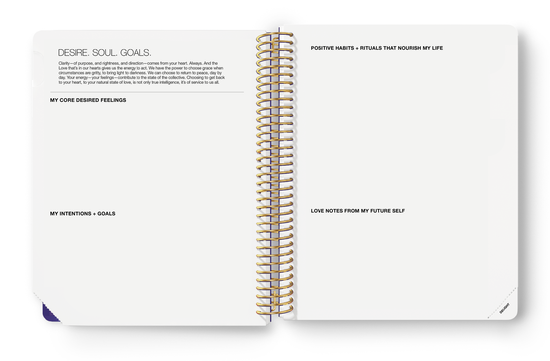 DM.2021.Planner.Sales.Page_Undated.Intention.Setting.png