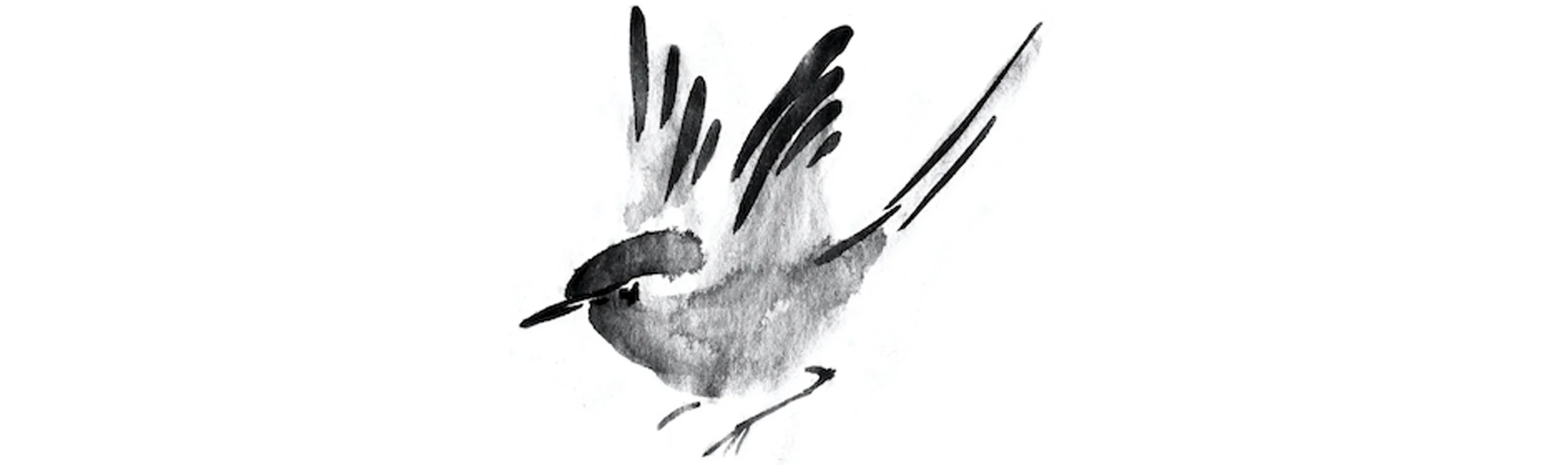 birds breaker2.jpg
