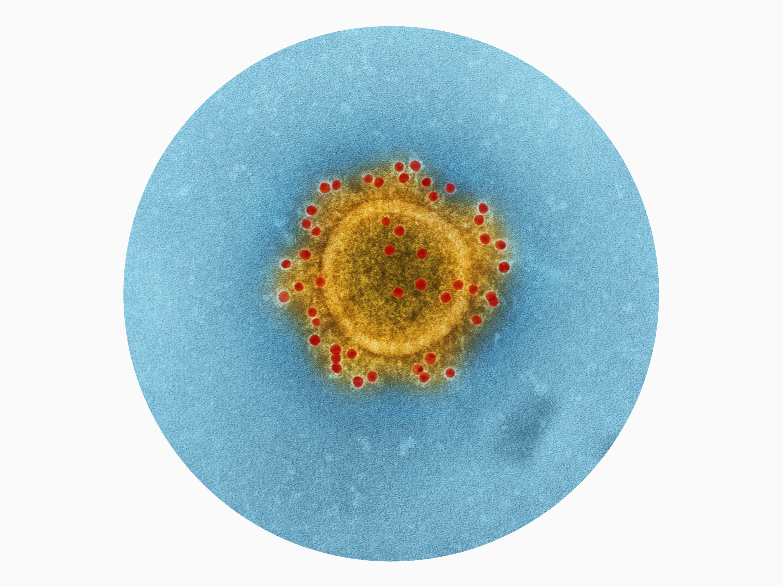 #29 - Artigo de 18/03/2020 "O Covid-19 abalou fortemente os mercados - e agora? "