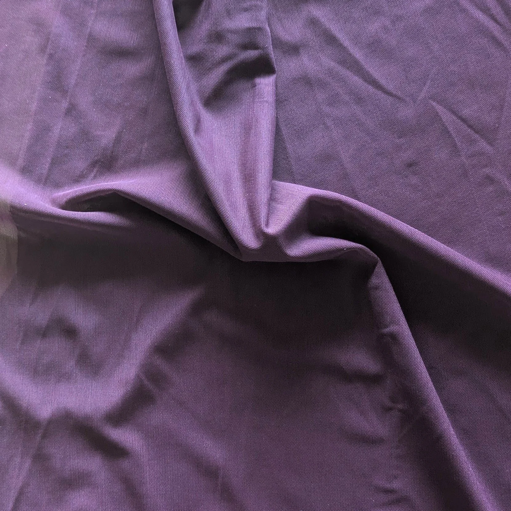 Tulle-prune (1).jpg