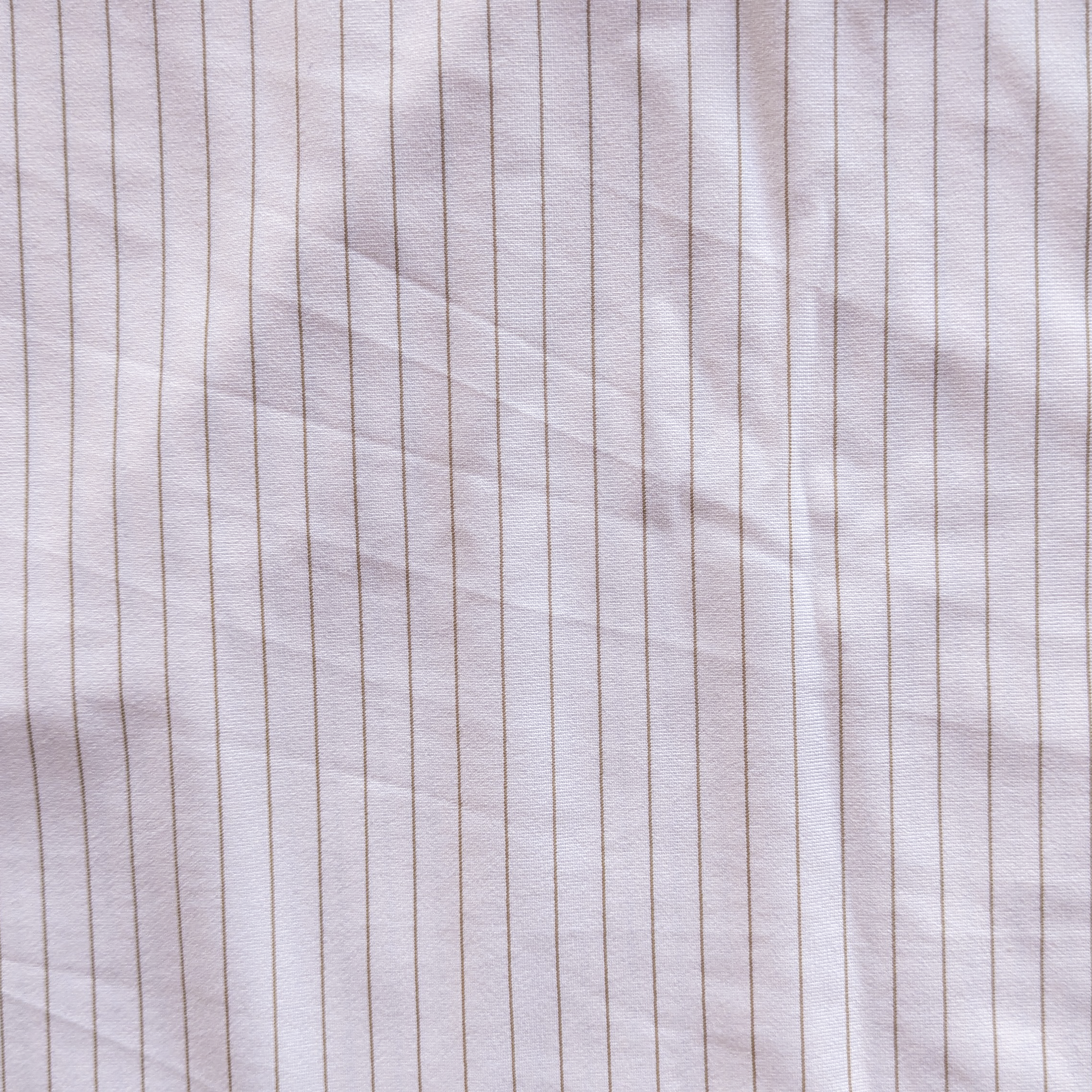 Micro rayée (1).png
